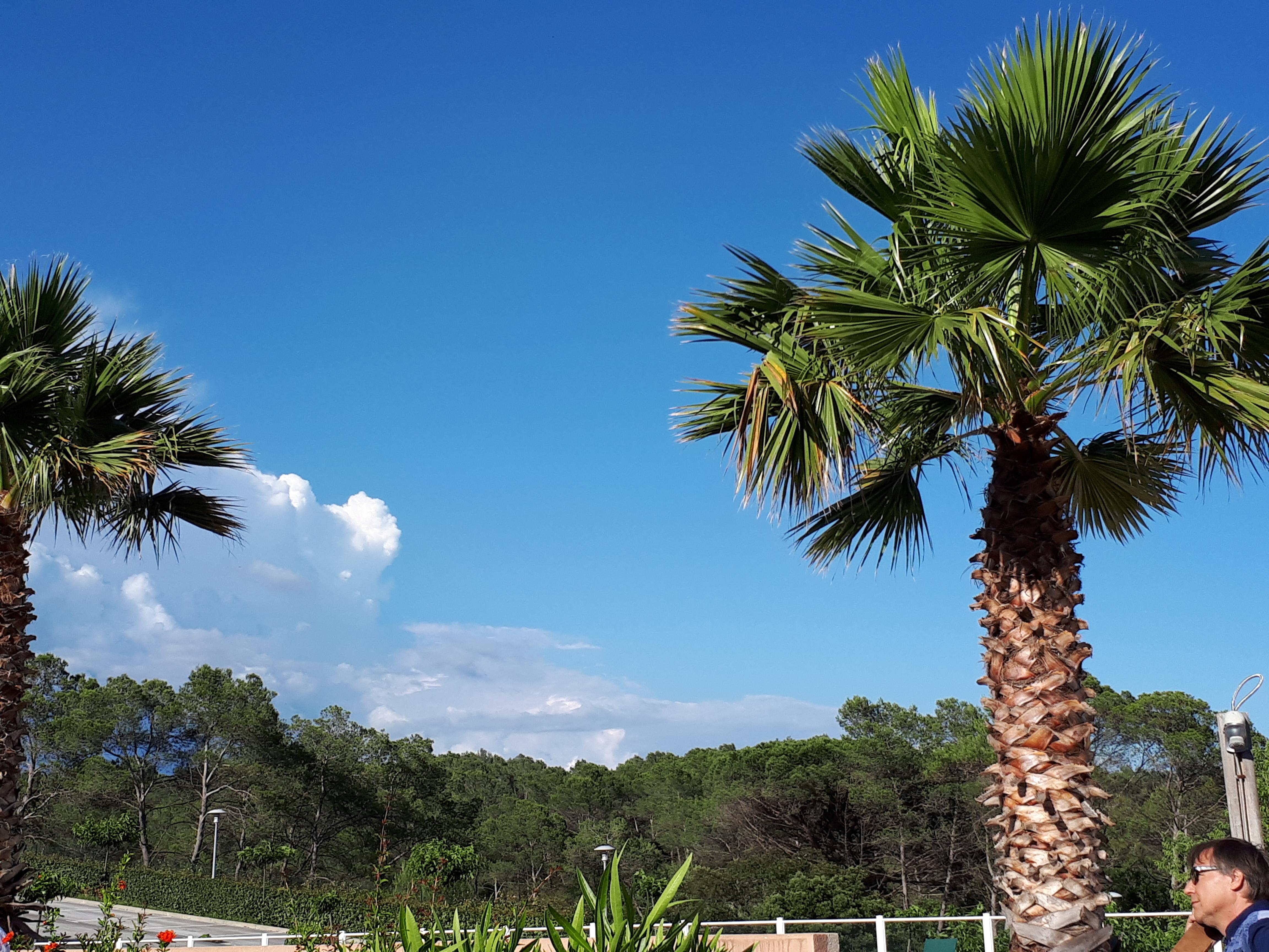 Vakantiepark Les Parasols D'argens