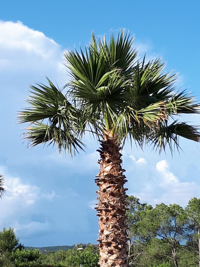 Les Parasols D'argens